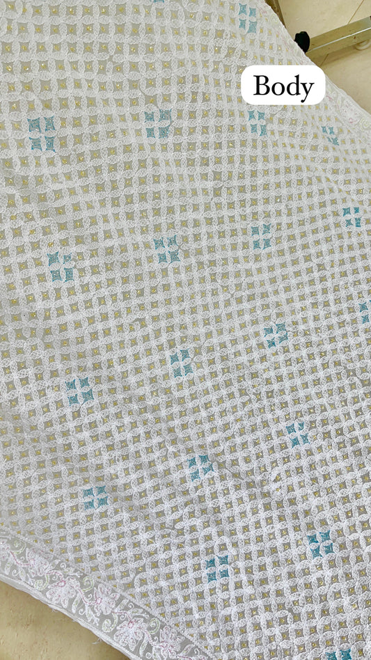 Authentic Hand Lucknowi Chikankari saree with full work