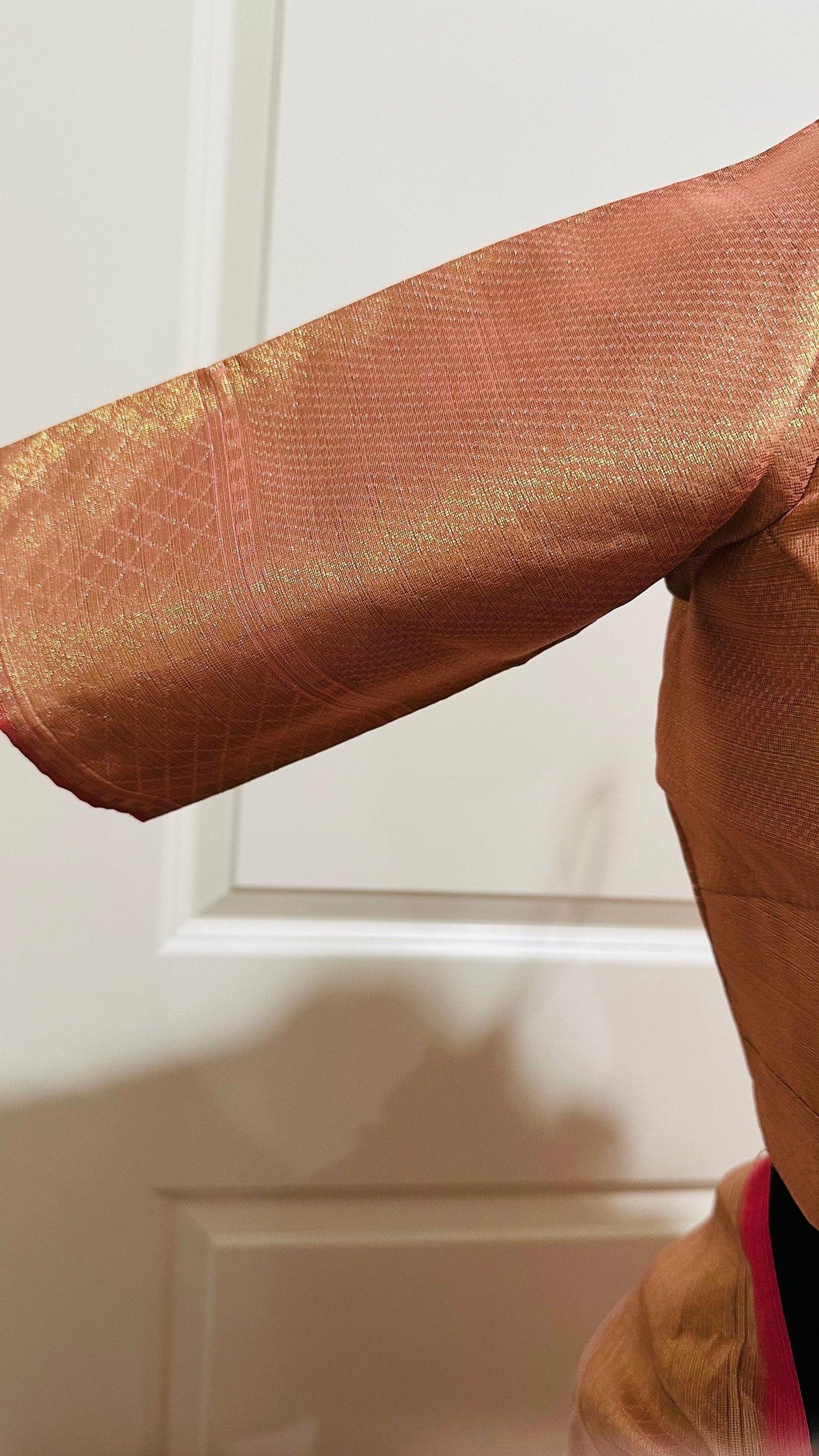 Banarasi Tissue Silk Saree with Skirt Border and sticthed blouse