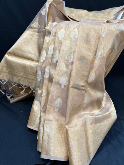 Banarasi Tissue Silk Saree with Regal Motiffs in Gold & Silver Zari