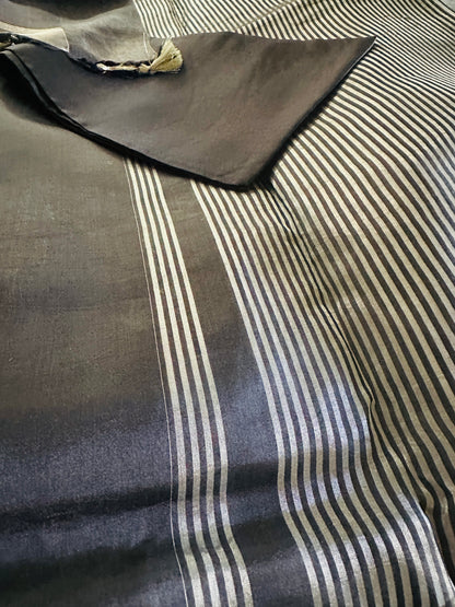 Noor Banarasi  Pure Tissue Silk  Handwoven  Saree with blouse fabric with silver Zari stripes