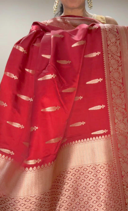 Banarasi Silk Saree  Mashru  - Maroonish Red