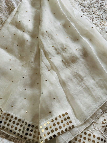 Noor - Hand Lucknowi Chikankari saree with Mukesh and Pearl work