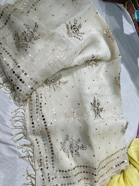 Authentic  Hand Lucknowi Chikankari organza saree with Mukesh