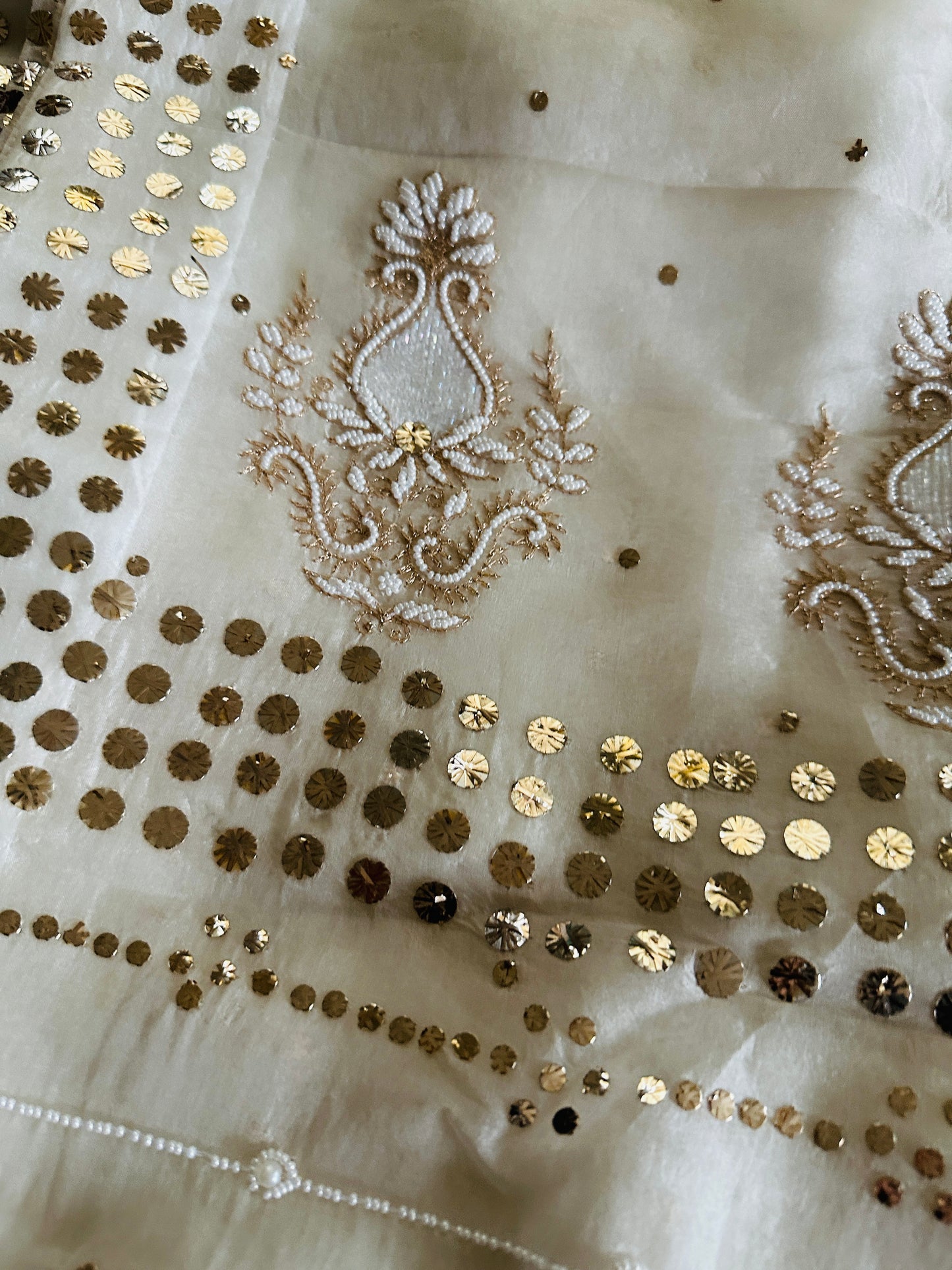 Noor - Hand Lucknowi Chikankari saree with Mukesh and Pearl work