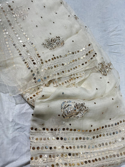 Authentic  Hand Lucknowi Chikankari organza saree with Mukesh
