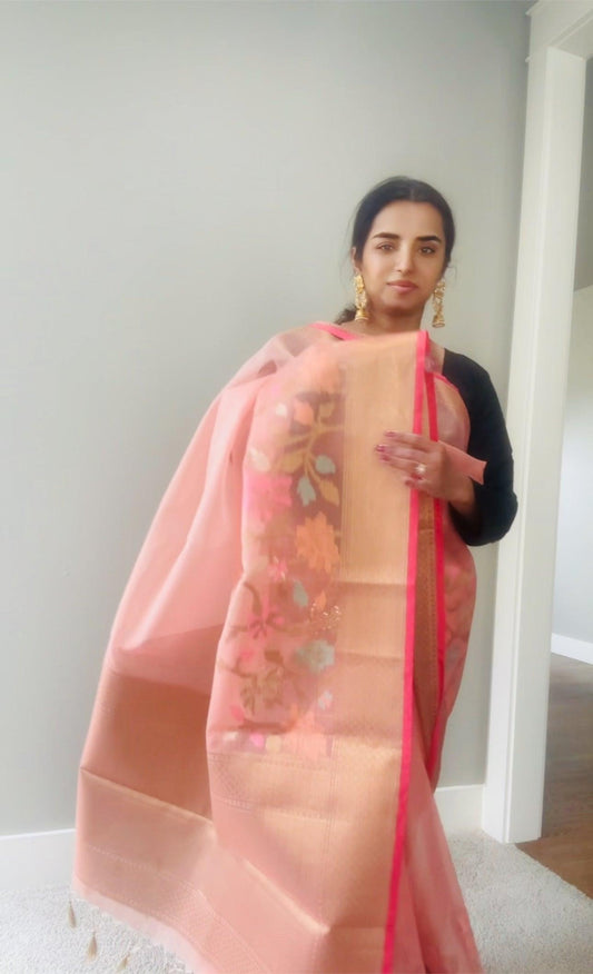 Banarasi Tissue Silk Saree with Skirt Border and sticthed blouse
