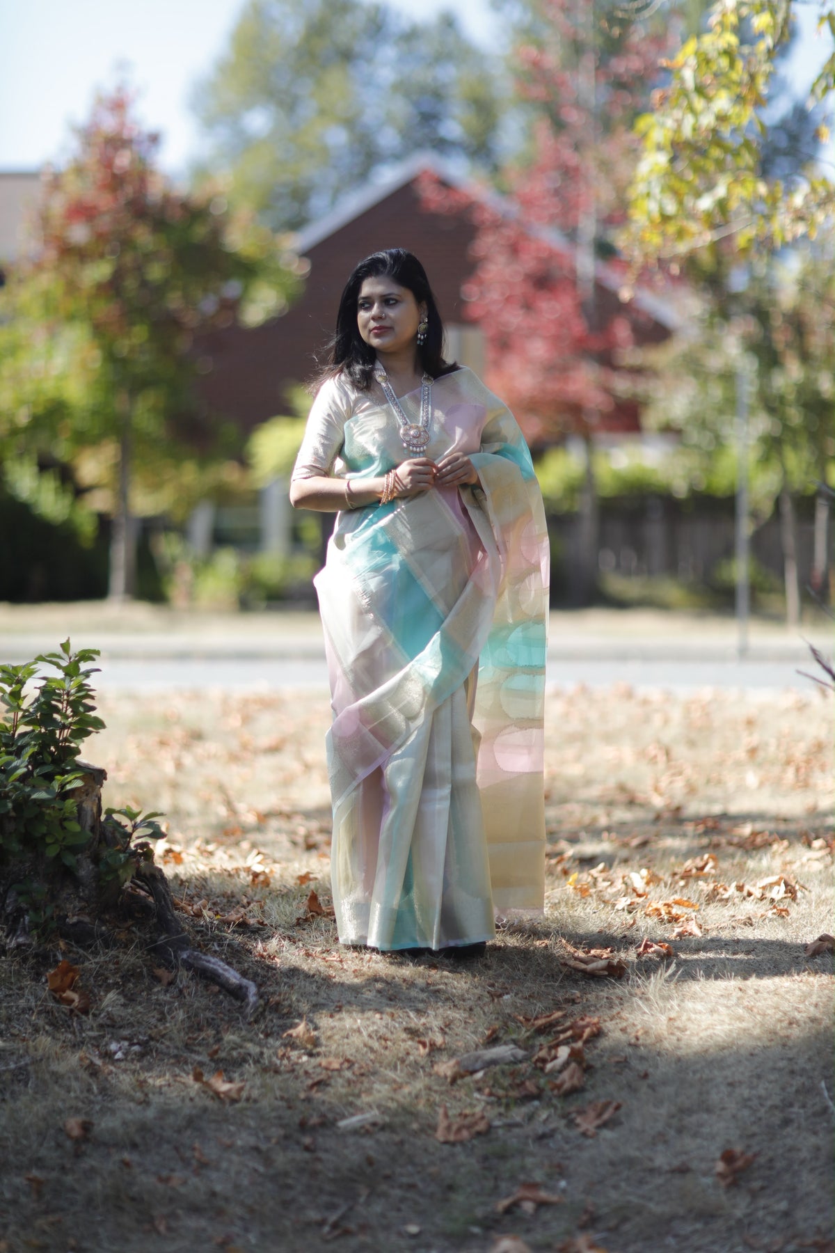 Rangkart Banarasi Tissue Silk Saree with blouse fabric