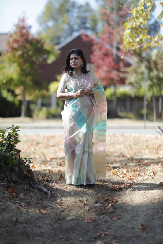 Rangkart Banarasi Tissue Silk Saree with blouse fabric