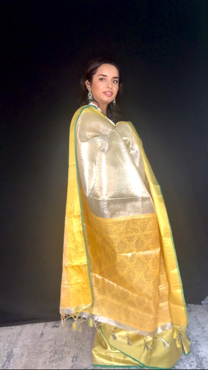 Banarasi Tissue Silk Saree