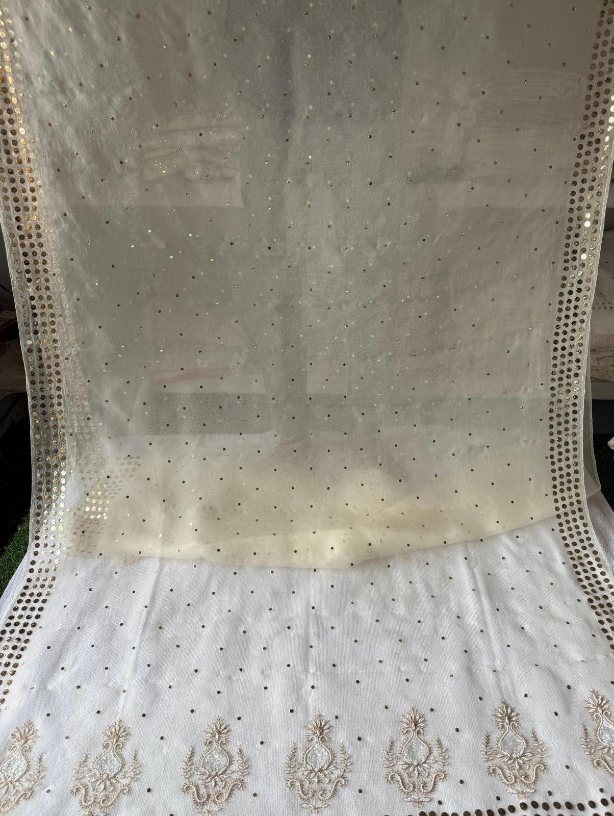 Noor - Hand Lucknowi Chikankari saree with Mukesh and Pearl work