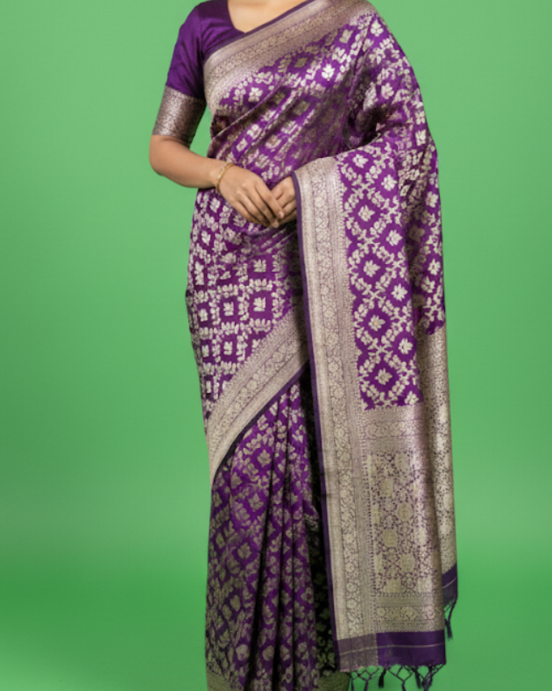 Exquisite Jaal Handwoven Katan Silk Saree with Gold Zari Silk Mark Saree with blouse
