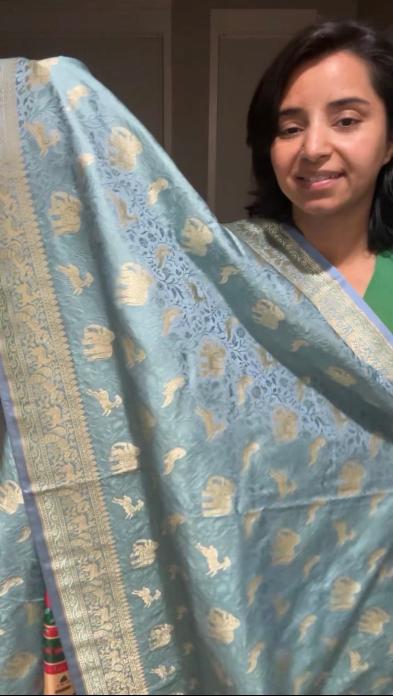 Mashru Silk Banarasi Saree with Tanchoi Weave & Animal Motifs