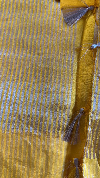 Noor Banarasi  Pure Tissue Silk  Handwoven  Saree with blouse fabric with silver Zari stripes