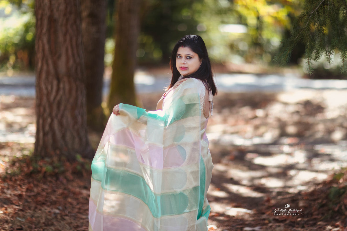 Rangkart Banarasi Tissue Silk Saree with blouse fabric