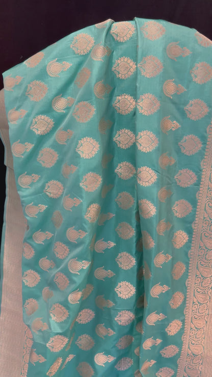 Banarasi Pure Mulberry Katan Silk Saree with Gold Zari - Sea Green